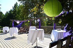 DREAM VISION FUNDRAISER FOR JAPAN RELIEF AT THE MATTHEWS WINERY